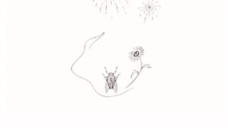 Thumbnail of post image 191